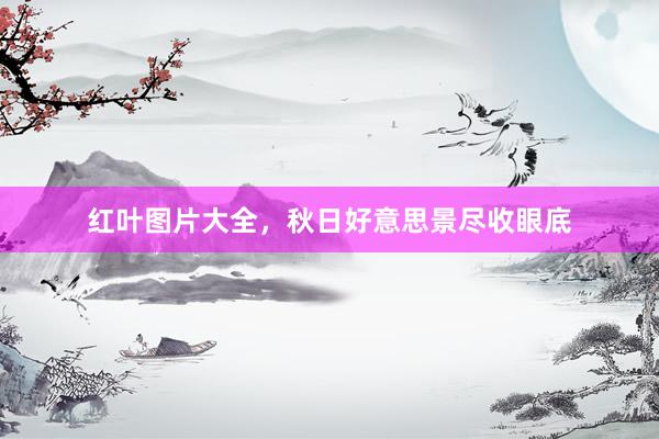 红叶图片大全，秋日好意思景尽收眼底