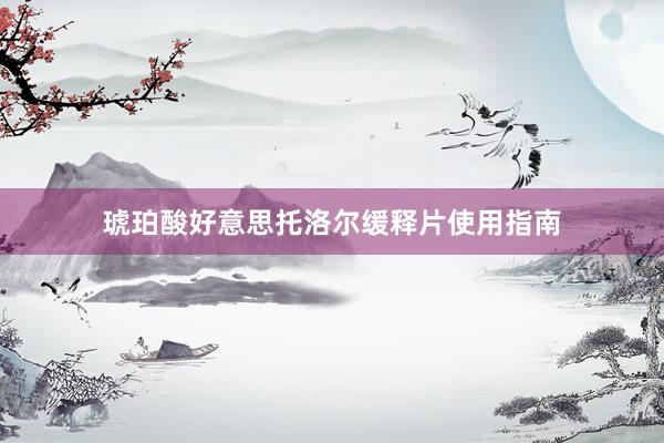 琥珀酸好意思托洛尔缓释片使用指南